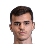 L. Mijovic