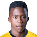 M. Shabalala