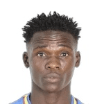 Bambara Djela