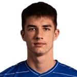 B. PaviÄ