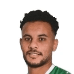 Amr Gomaa