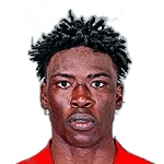 H. Ibrahim