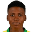 N. Mthandi