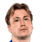 V. Tikkanen